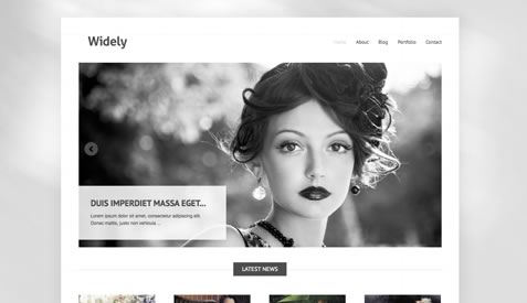 Free premium WordPress themes - Widely