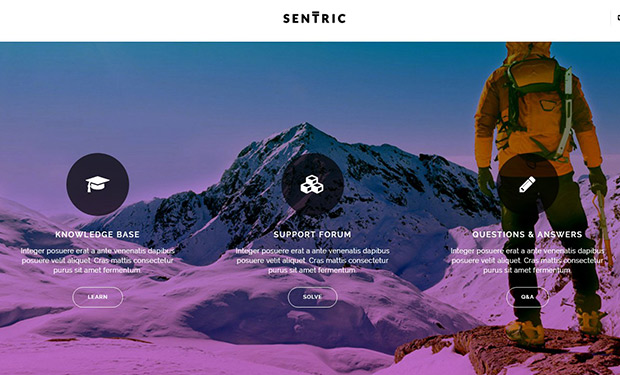Sentric WordPress support and form theme
