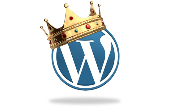 WordPress themes fit for a king (Plus 50% off)